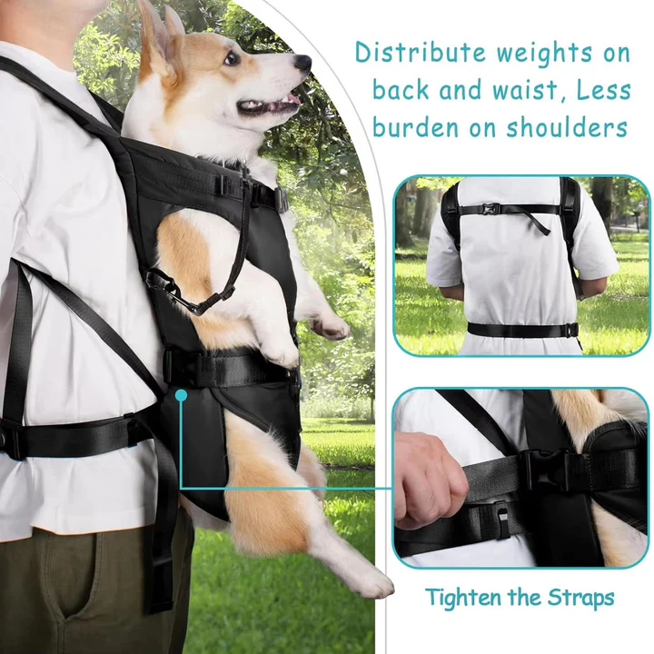 Lisslune | Dog Carrying Backpack