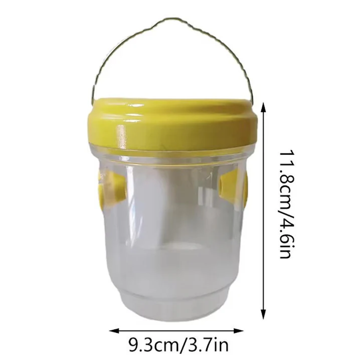 Lisslune | Insect Fruit Fly Traps