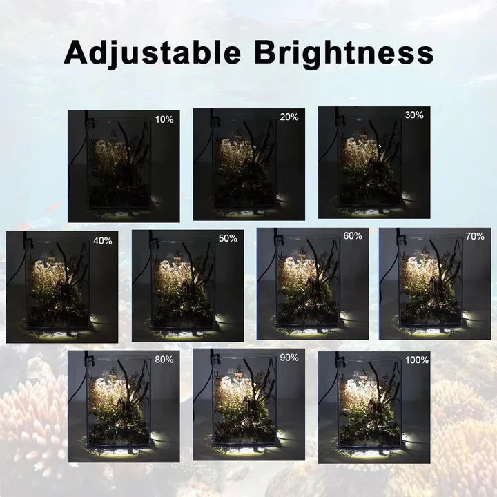 Lisslune | LED Light for Fish Tank