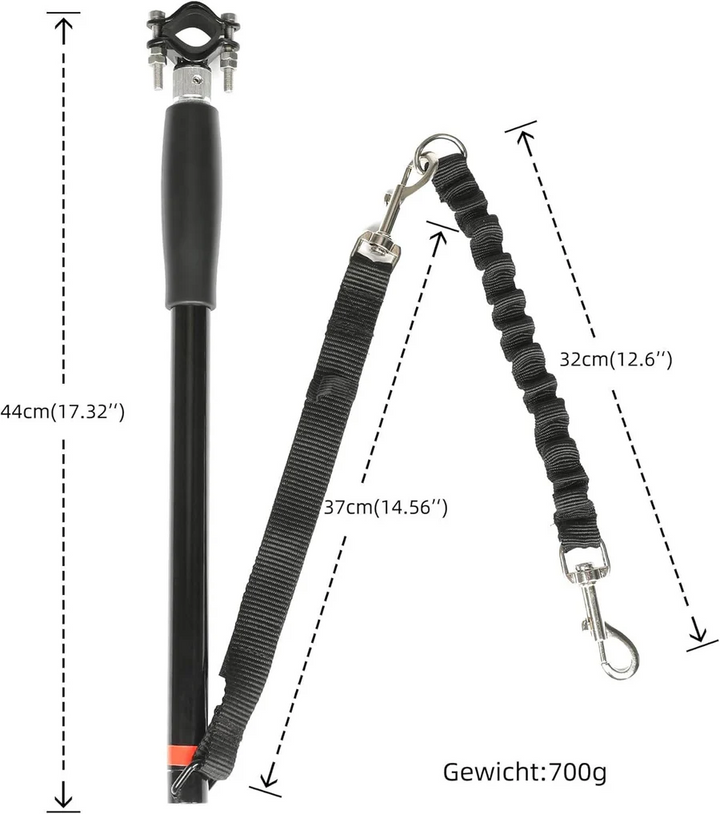 Lisslune | Bike Dog Tow Leash