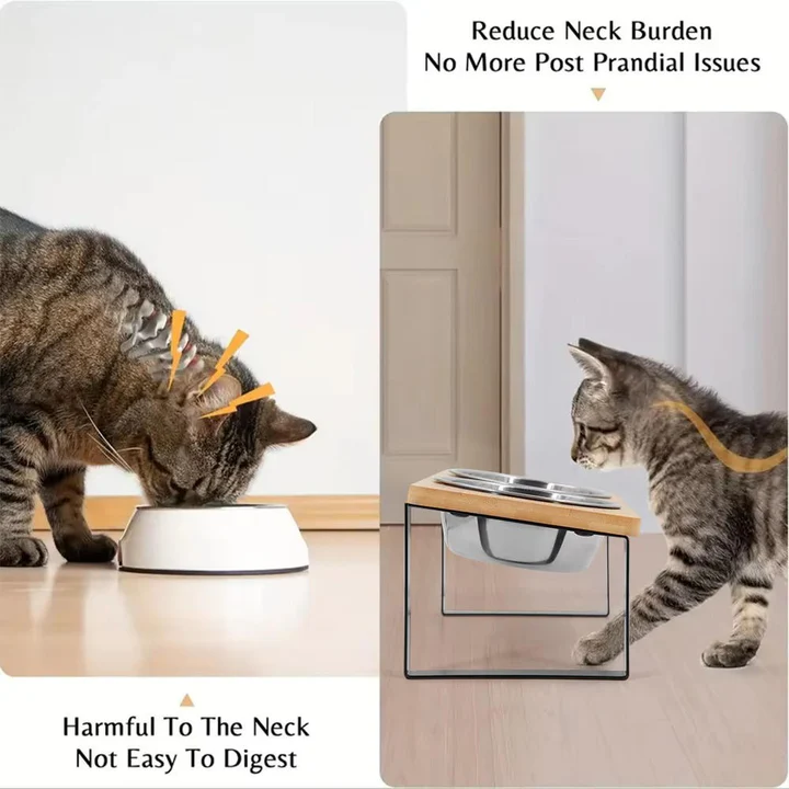 Lisslune | Raised Cat Bowl for Comfortable Feeding