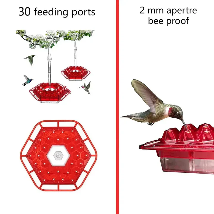 Lisslune | Ant Proof Hummingbird Feeder, Outdoor Hanging Perch