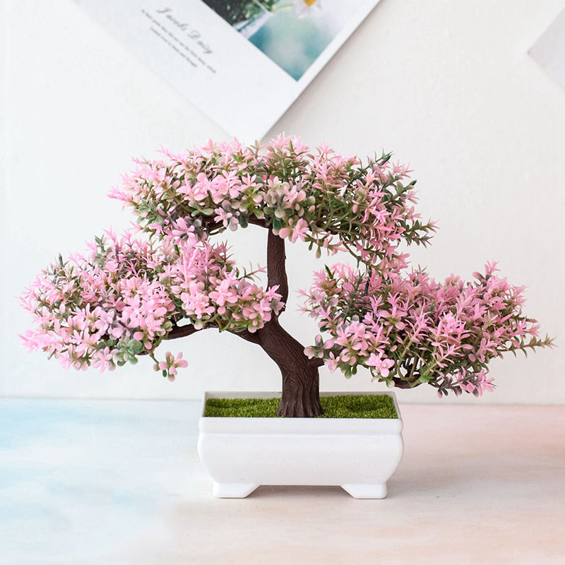 Lisslune | Plant Bonsai