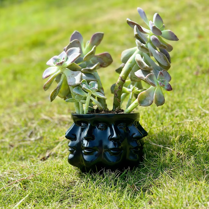 Lisslune | ArtFace 3D Ceramic Plant Pot – Modern Face Design Pot