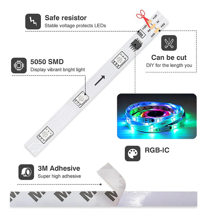 Rynx | Multicolor LED lights
