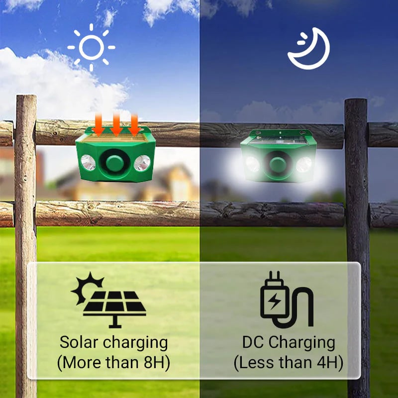 Lisslune | DUALGUARD – High Volume Solar Warning Lights to Deter Predators