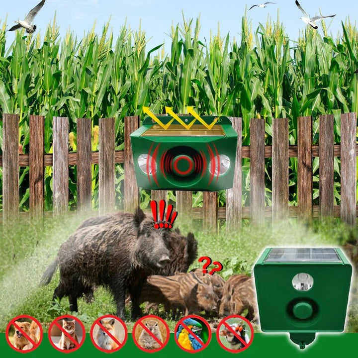 Lisslune | DUALGUARD – High Volume Solar Warning Lights to Deter Predators