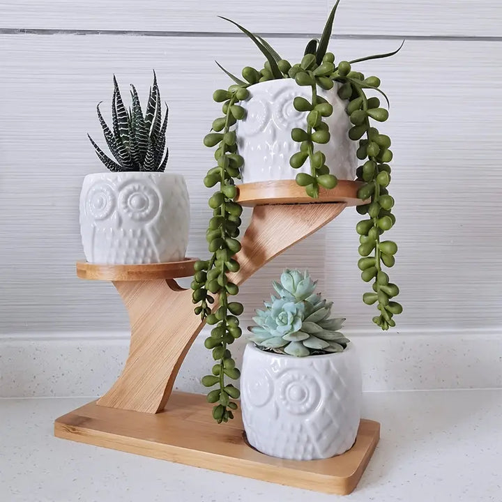 Lisslune | Decorative plant stand made of wood – plant pots in owl design for succulents and indoor plants