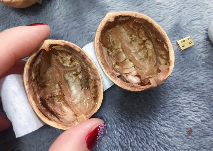Lisslune | Handmade.Walnut Shell Doll House--Mini Library, Tiny World Inside Walnuts