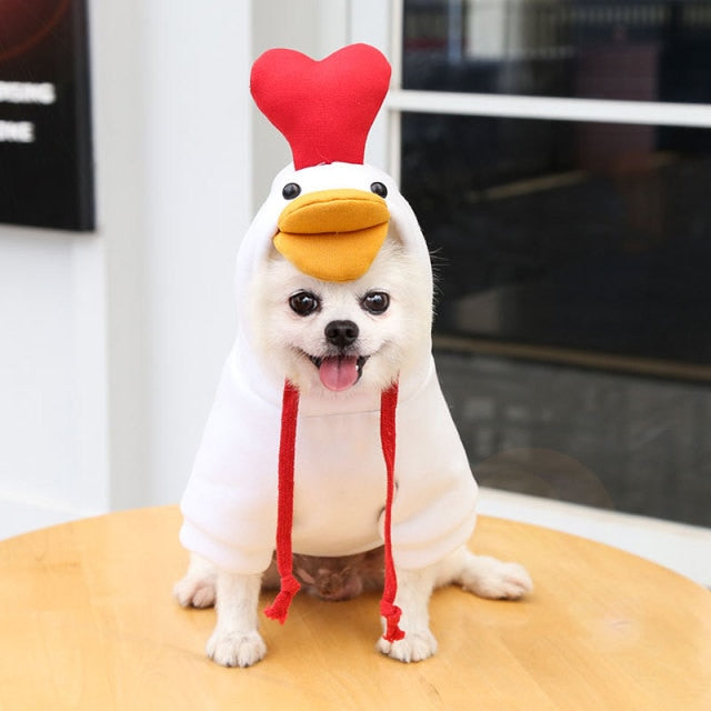 Lisslune | Pet Hoodies