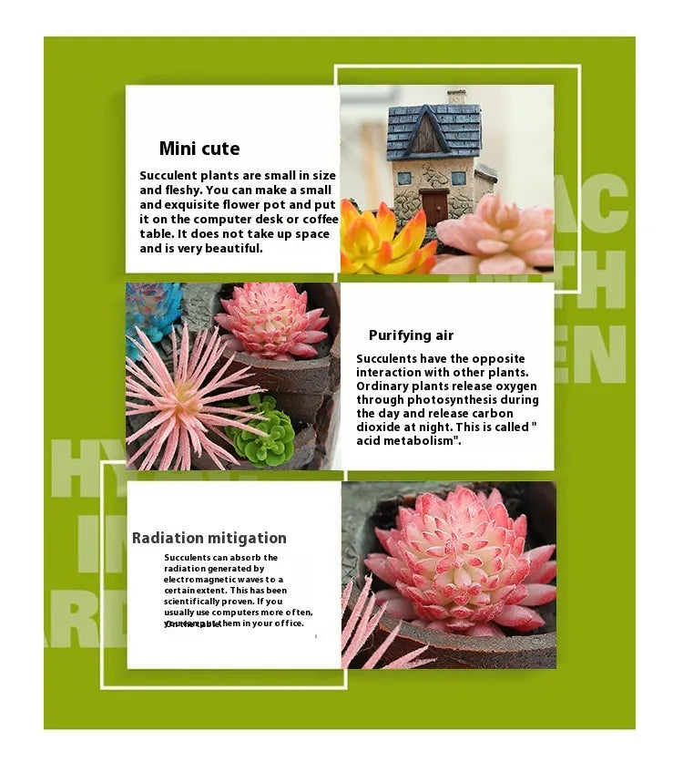 Lisslune | Succulent decorative flower pot for mini garden – Bonsai planting pot for micro landscape and garden