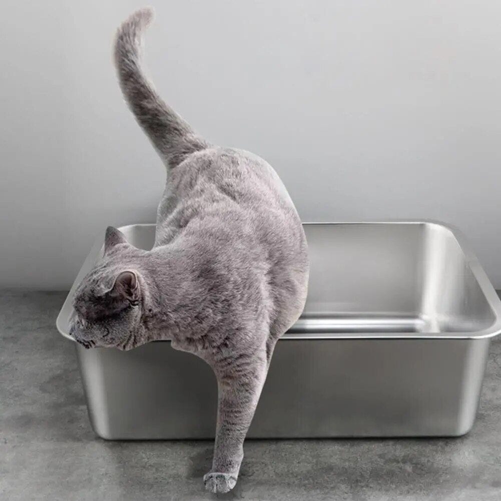 Lisslune | Cat litter