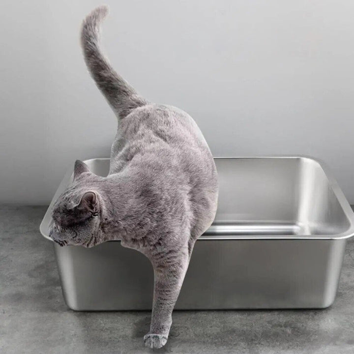 Lisslune | Cat litter