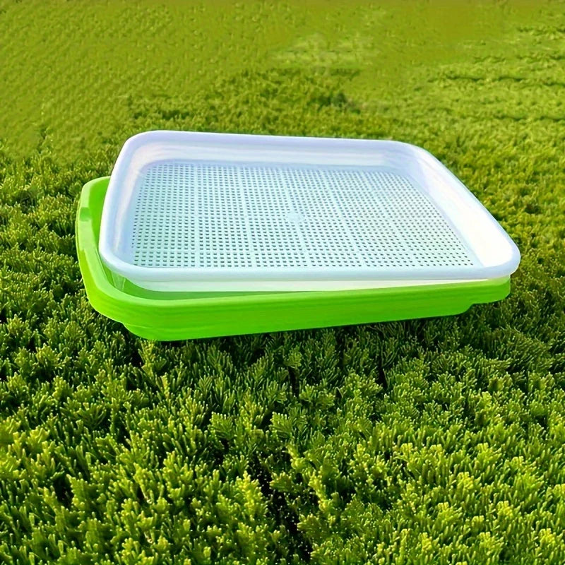 Lisslune | Germination trays with lid – Double-layer seed sowing tray for effective seed germination