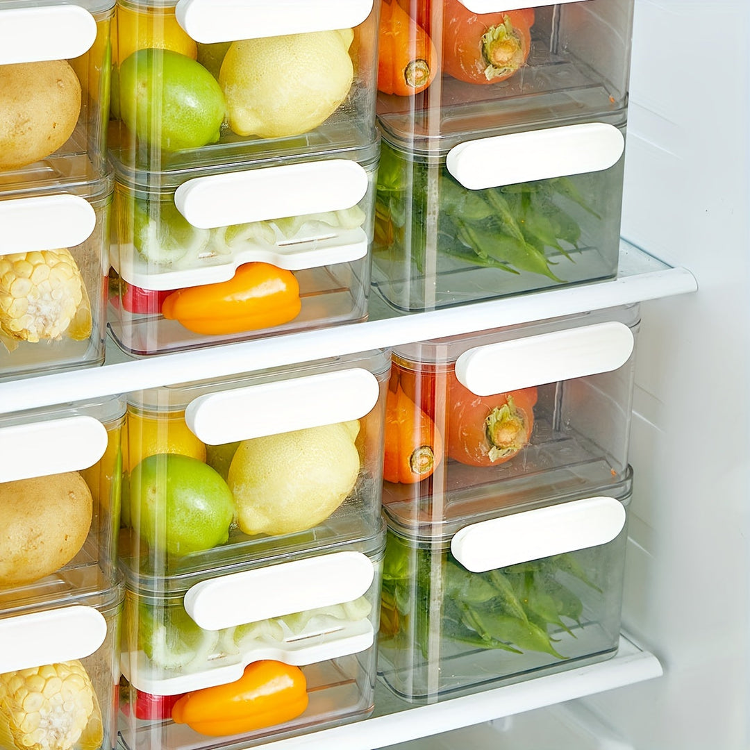 Lisslune | FreshKeep - Durable PET Container for Extended Freshness