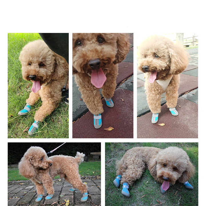 Lisslune | Durable Outdoor Dog Shoes with Mesh - All-Terrain Paw Protection