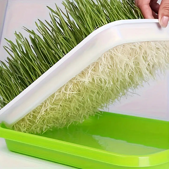 Lisslune | Germination trays with lid – Double-layer seed sowing tray for effective seed germination