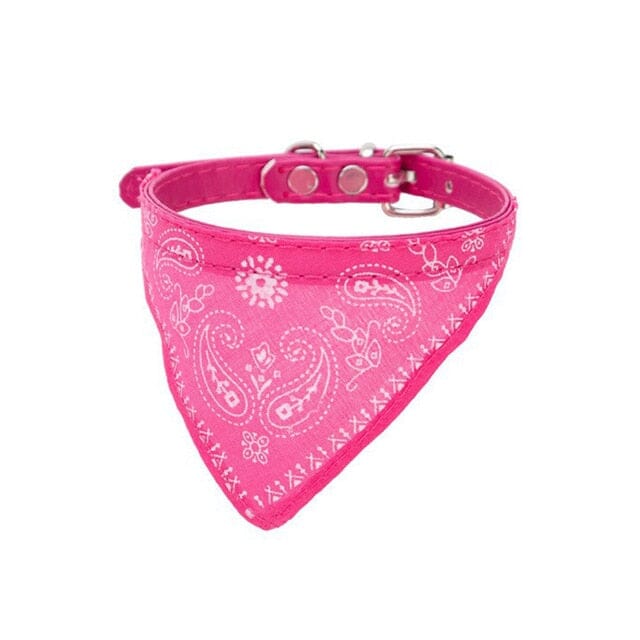 Lisslune | Pet Collar