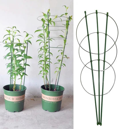 Lisslune | Climbing frame for plants – Sturdy support ring frame for climbing plants