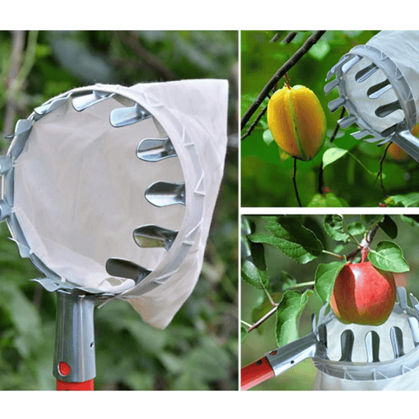 Lisslune | Fruit Picker Head Basket