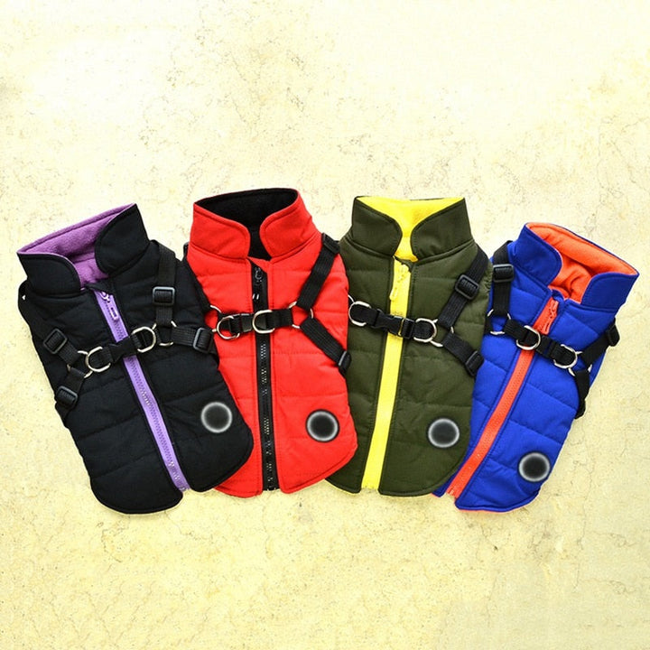 Lisslune | Waterproof pet coat with harness