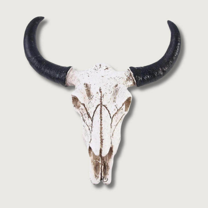 Lisslune | HornAura - Longhorn Skull for Your Interior