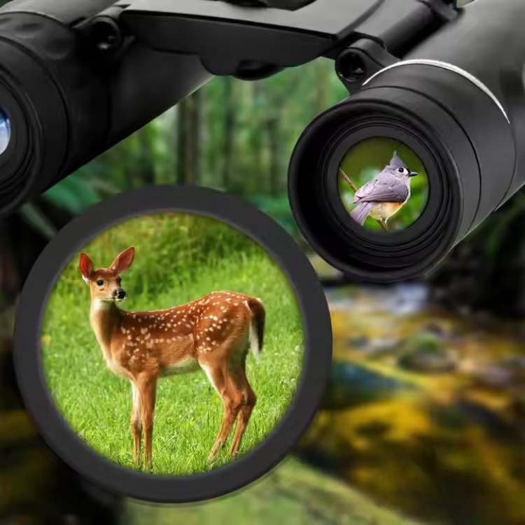 Lisslune | 40x22 HD Long-Range Binoculars | Lightweight, Multi-Coated Lenses for Bird Watching, Wildlife Observation & Stargazing