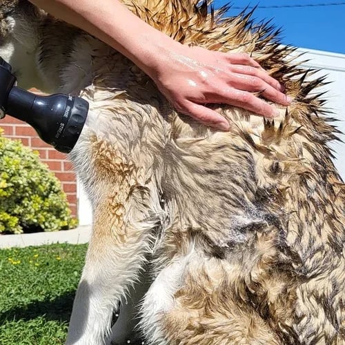 Lisslune | Multi-mode Dog Bath Foaming Water Gun