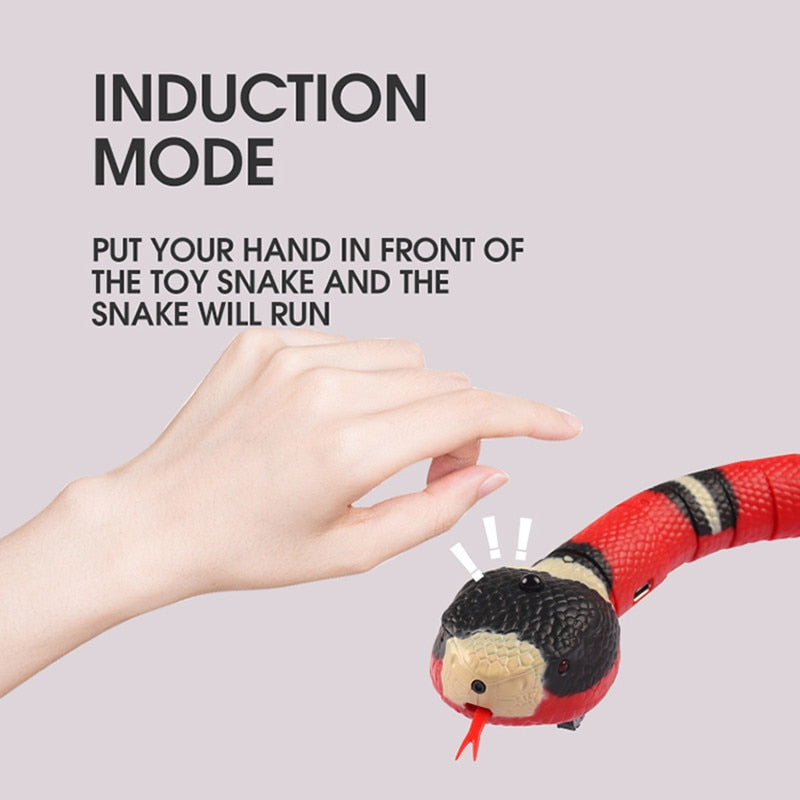 Lisslune | Automatic Electronic Snake Cat Toy