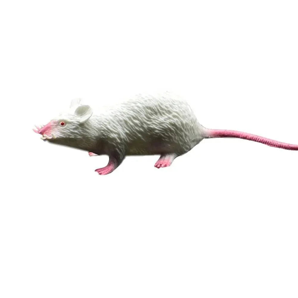 Lisslune | Realistic small rat prank toy for Halloween jokes