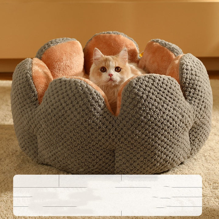 Lisslune | Warm Cactus Bed