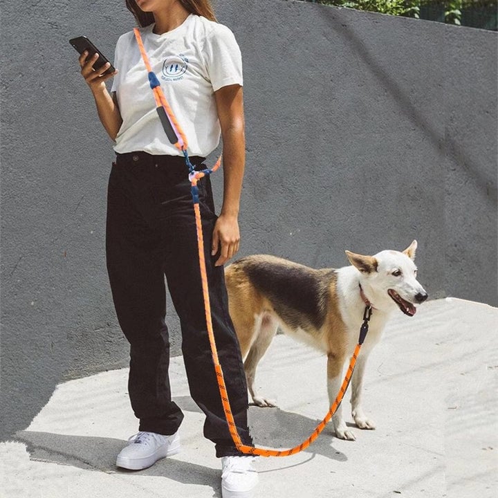 Lisslune | Hands Free Dog Leashes