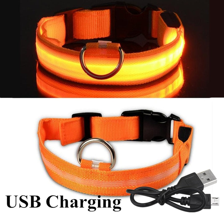 Lisslune | Adjustable LED collar