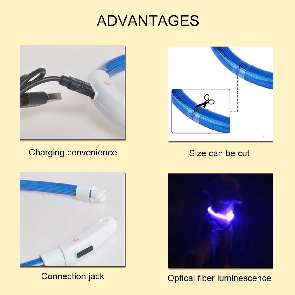 Lisslune | LED Waterproof Dog Collar