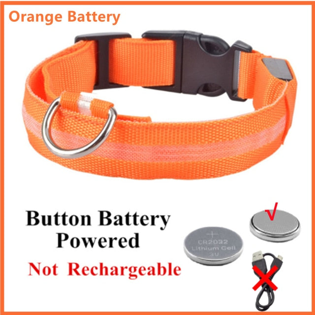 Lisslune | Luminous dog collar