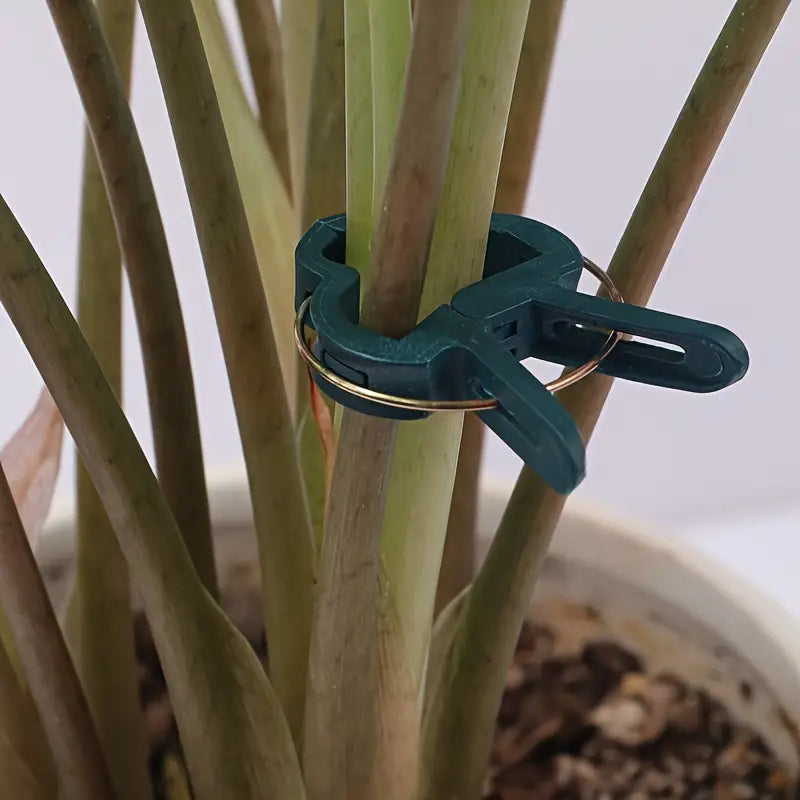 Lisslune | Garden clip set – plant loops for plant supports and garden care