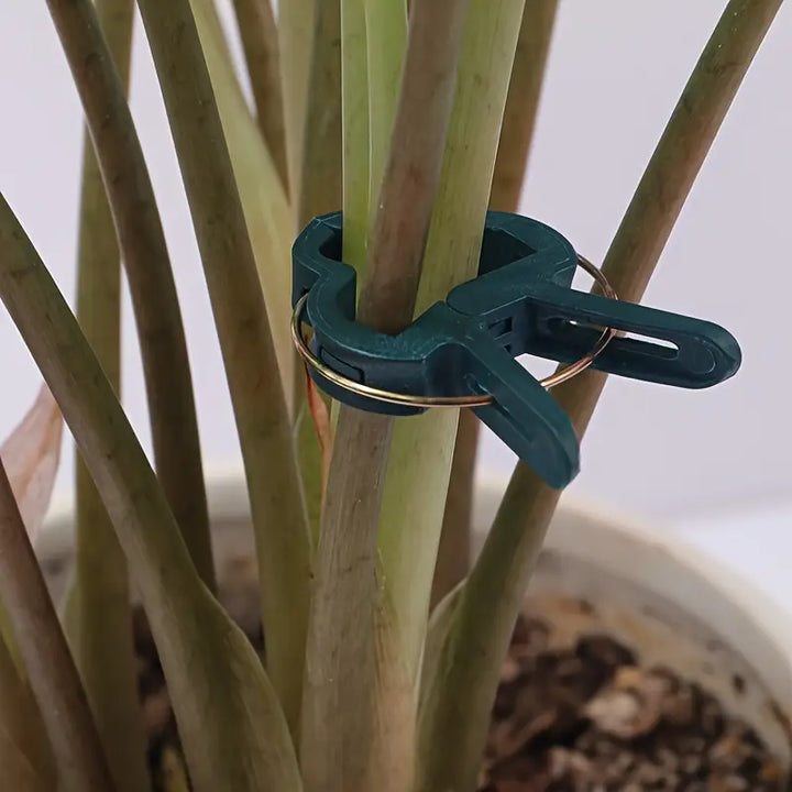Lisslune | Garden clip set – plant loops for plant supports and garden care