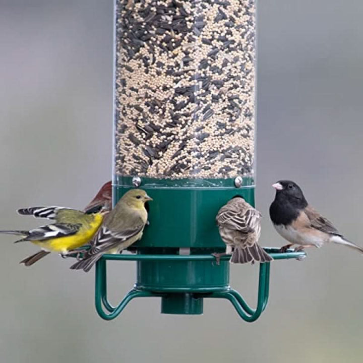Lisslune | Squirrel-Proof Bird Feeder – 5lb Seed Tube with 4 Ports