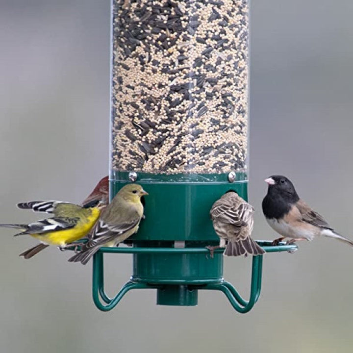 Lisslune | Squirrel-proof bird feeder