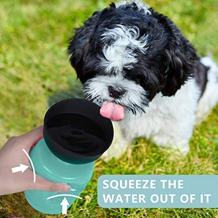 Lisslune | Foldable water bottle