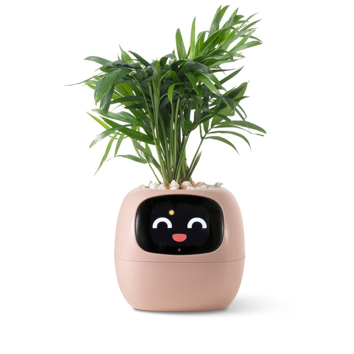 Lisslune | VerdeGlow – Self-Watering Smart Plant Pot | Automatic Irrigation | Modern Indoor Planter