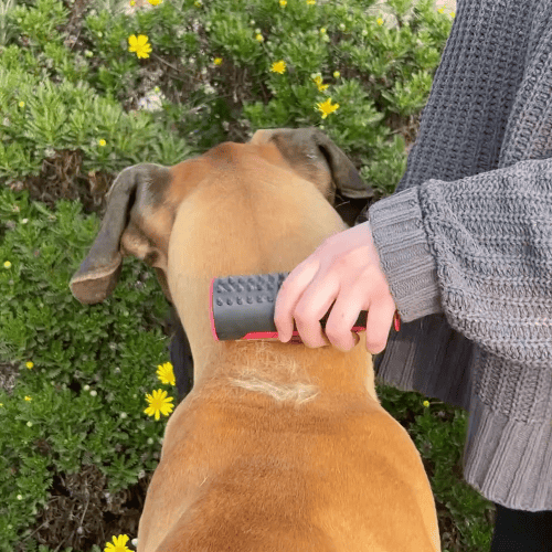 Lisslune | 3 in 1 Deshedding Undercoat & Fur Brush