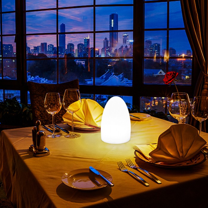 Lisslune | EggGlow - Elegant LED Egg Light