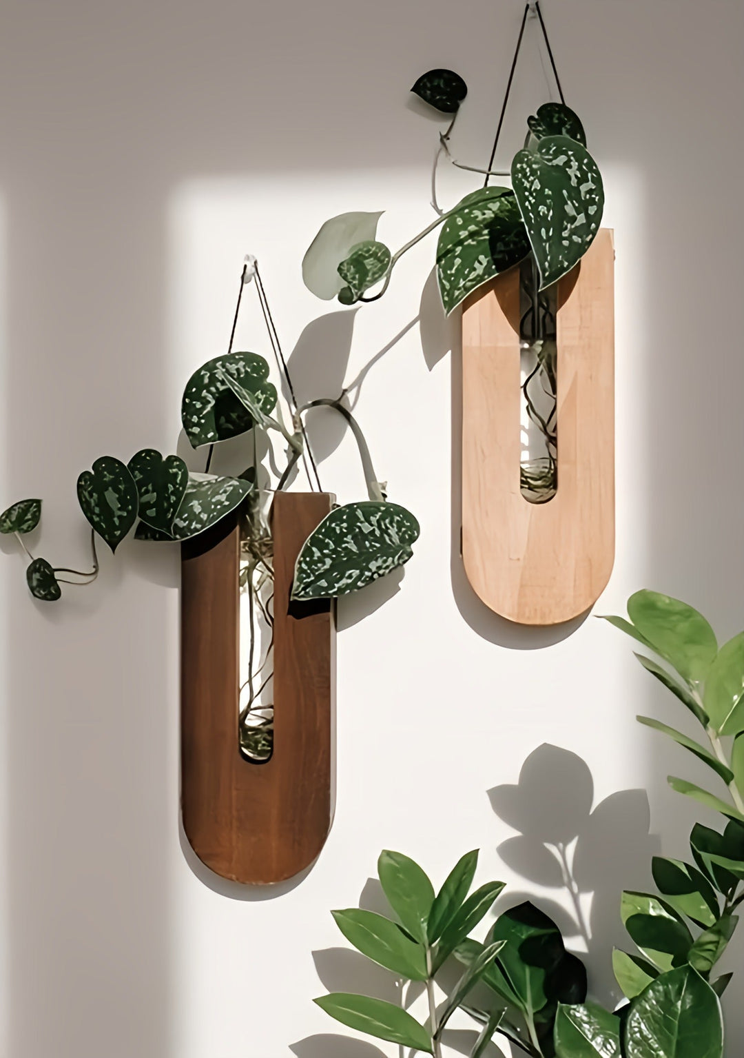 Lisslune | WoodFlora | Rustic Wooden Wall Flower Holder Set – Creative Plant Display for Indoor Spaces