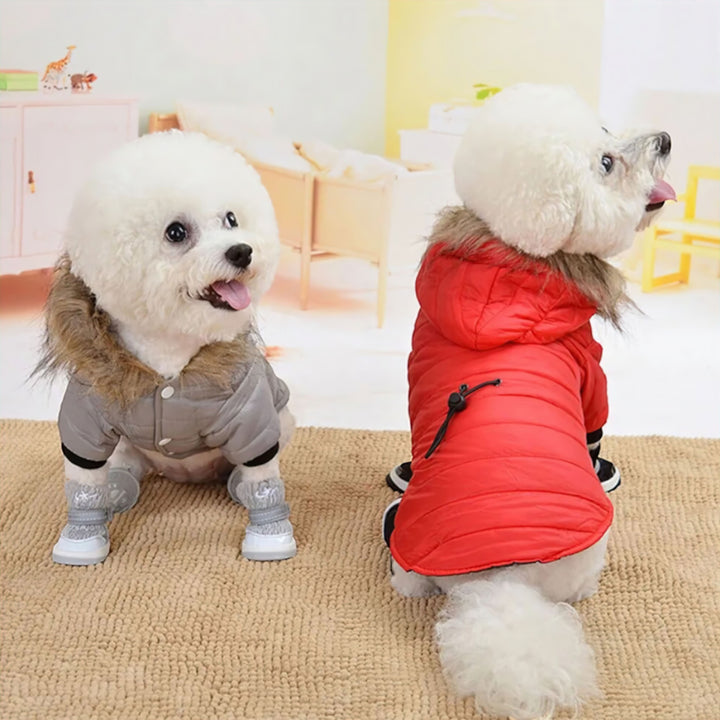 Lisslune | Dog Sweater