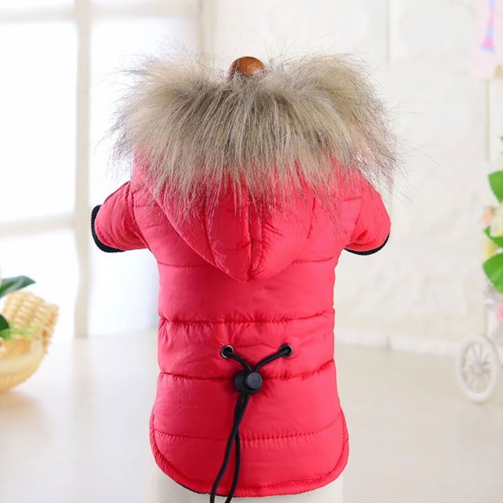 Lisslune | Dog Sweater