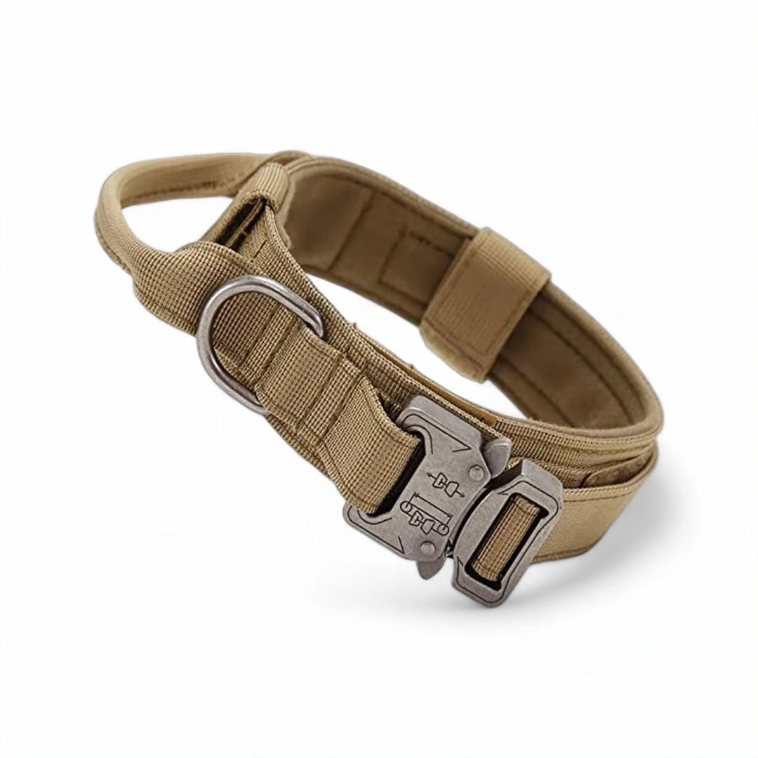 Lisslune | Dog Collar