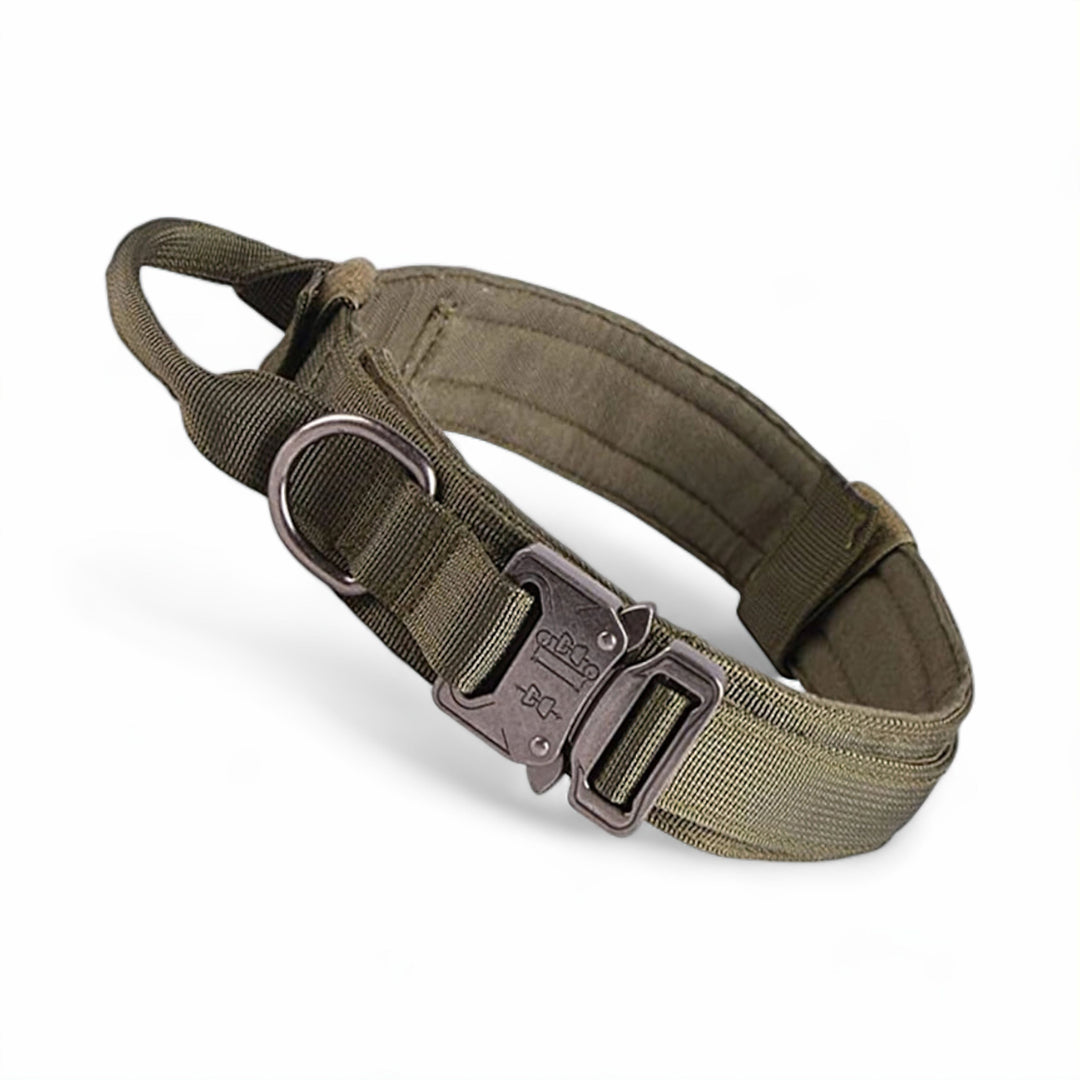 Lisslune | Dog Collar