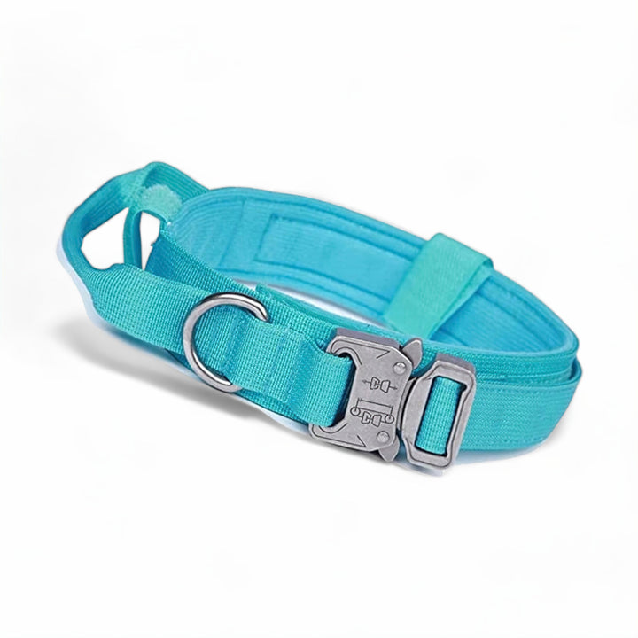 Lisslune | Dog Collar