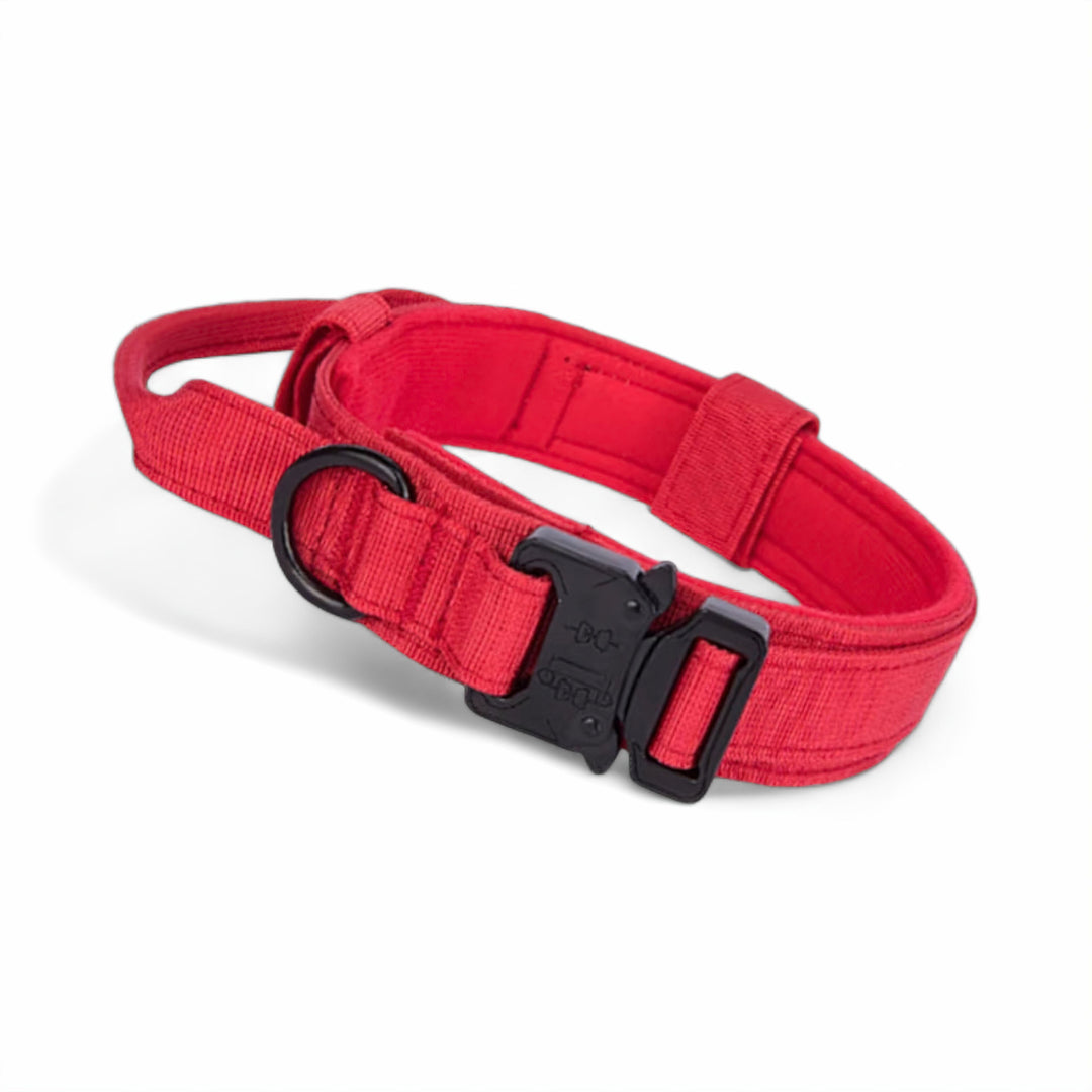 Lisslune | Dog Collar